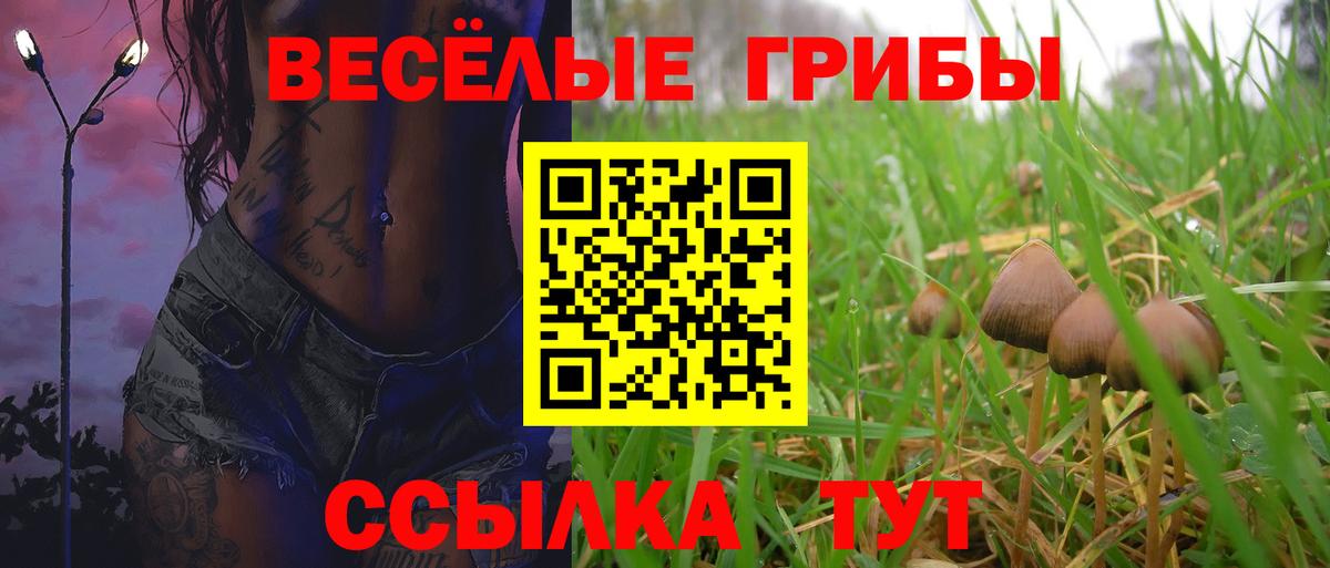 Апшеронск  Псилоцибиновые грибы Magic Shrooms  Вход с VPN  Галлюциногенные грибы Psilocybe 
