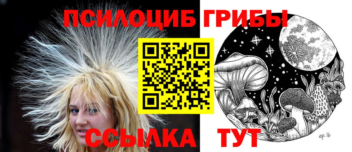 Галлюциногенные грибы Magic Shrooms Апшеронск